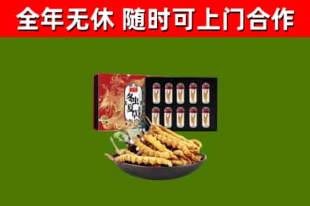 铁岭回收冬虫夏草价格